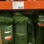 Pregra Fescue Turf