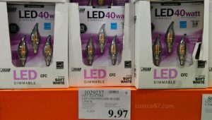 FEIT LED Bulbs