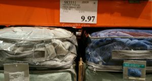 Velvet Touch Twin Sheet Set - 983551