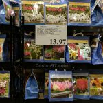 Spring Assortment Bulbs and Perennials - 125199