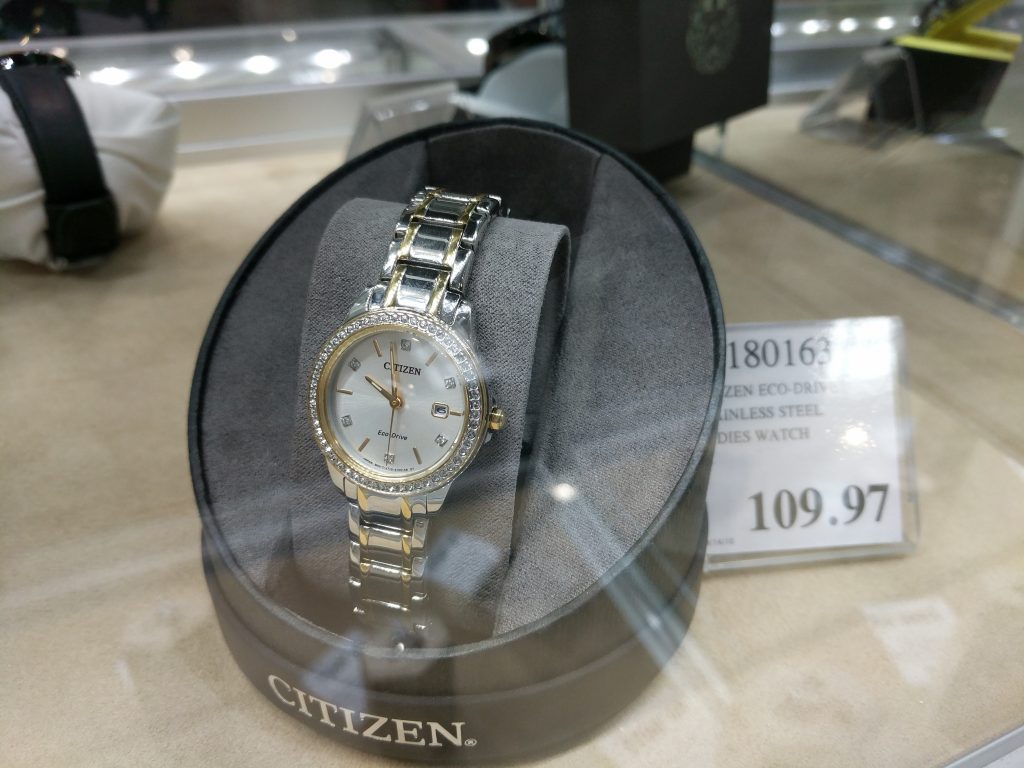 Citizen EcoDrive Stainless Steel Ladies Watch