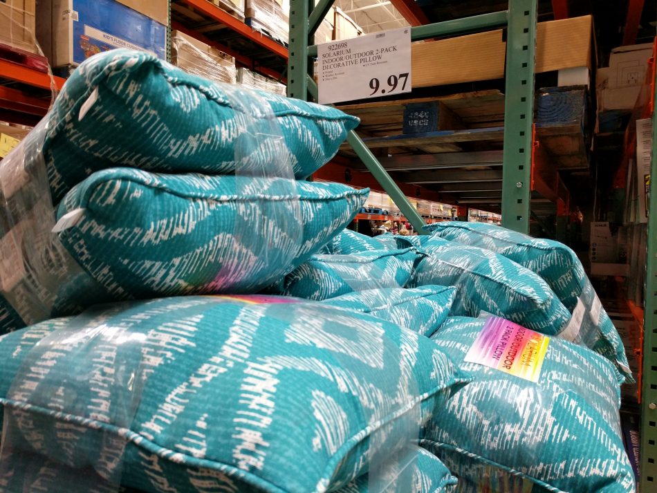 Solarium Indoor/Outdoor Decorative Pillow 2pack