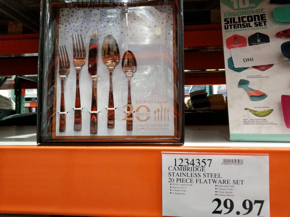 Cambridge Stainless Steel 20piece Flatware Set