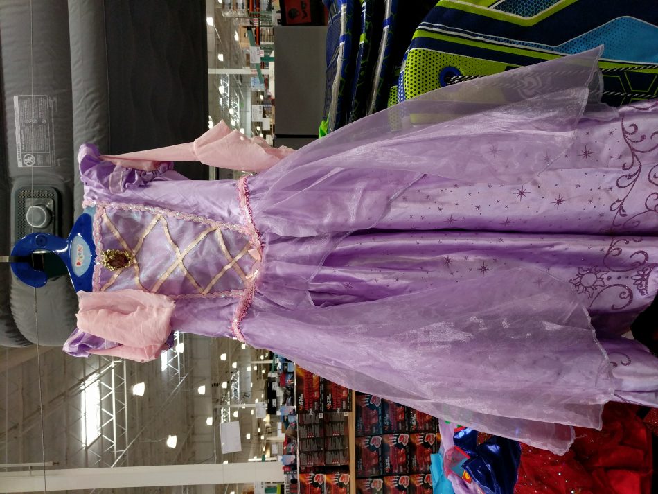 Disguise Licensed Princess Kids Costume