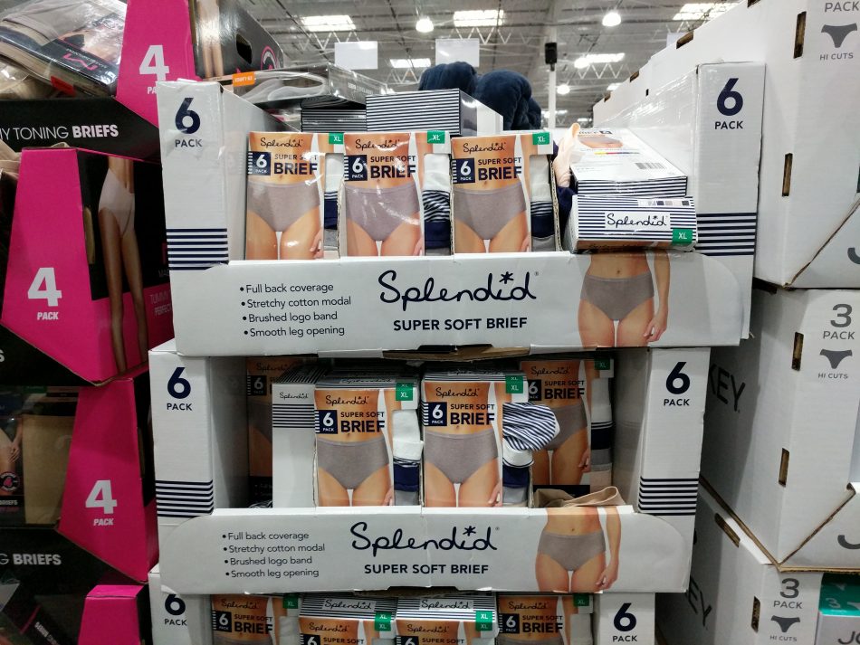 Splendid Ladies Cotton Modal Brief 3 pack