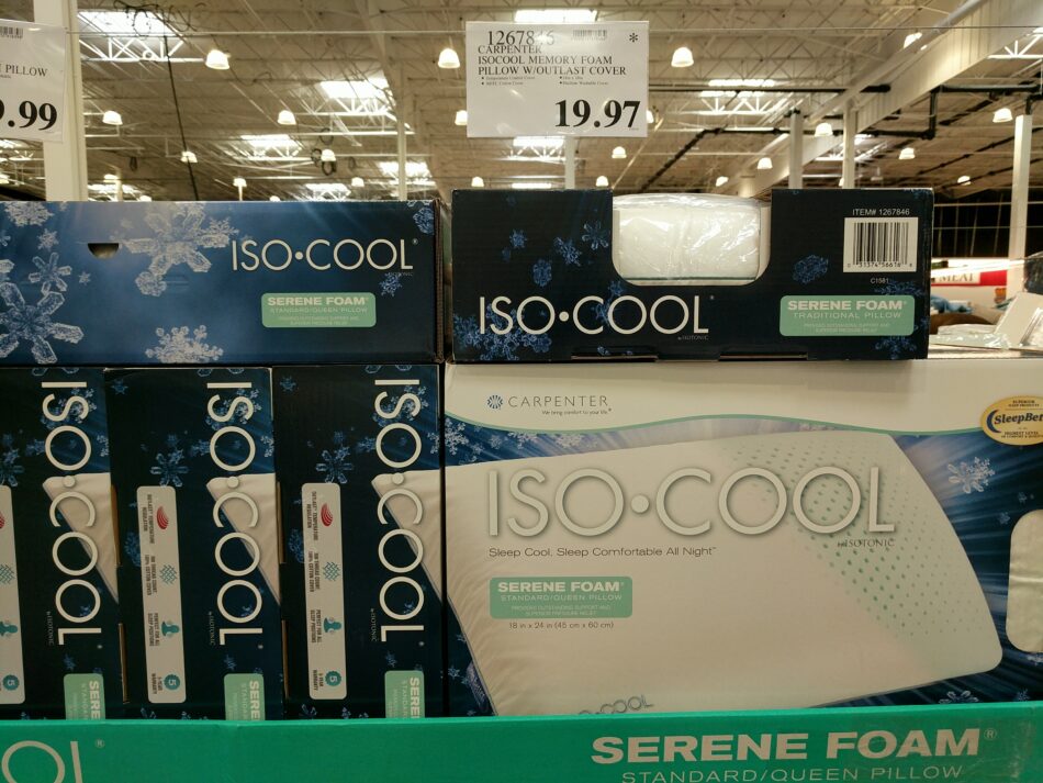 Isocool Memory Foam Pillow With Cover Costco97 Com