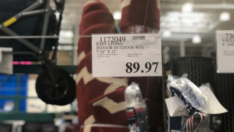 EasyLivingIndoorOutdoorRug-1172049.