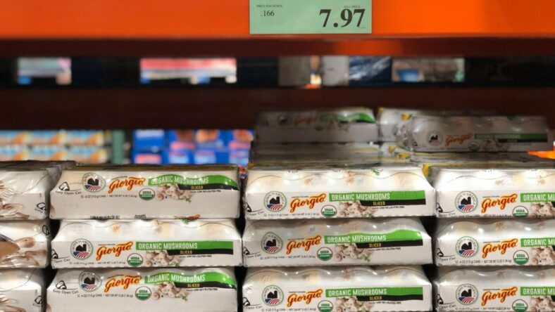 GiorgioOrganicMushrooms-819413