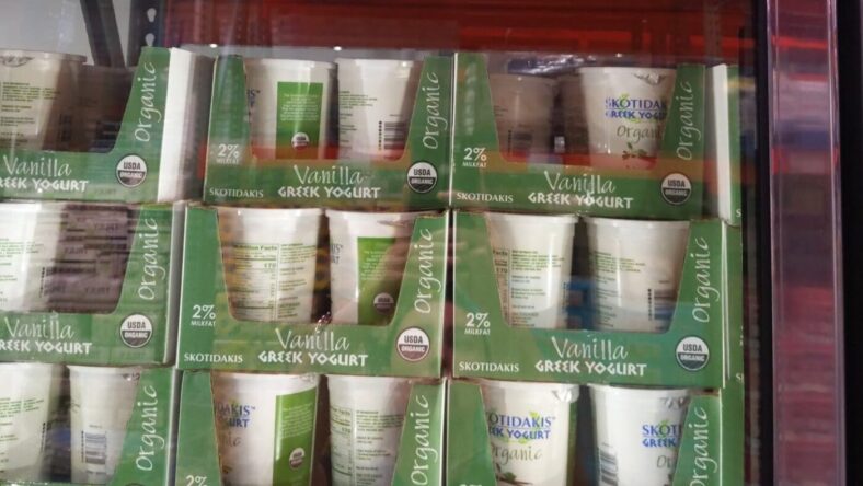 SkotidakisOrganicVanillaGreekYogurt-1325031