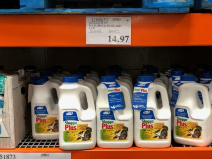 SluggoPlusSlugBugAndSnailBait-1198653