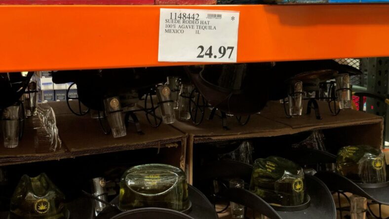 SuedeRodeoHatAgaveTequila-1148442