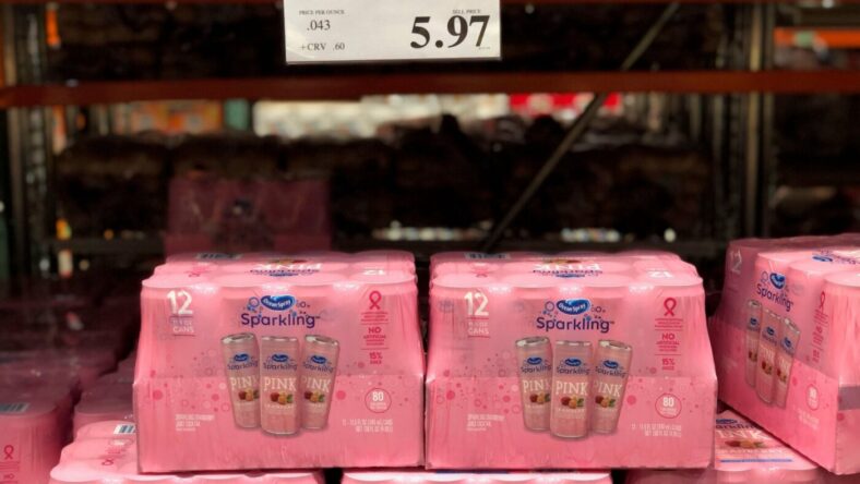 OceanSprayPinkCranberrySparkling-1333971