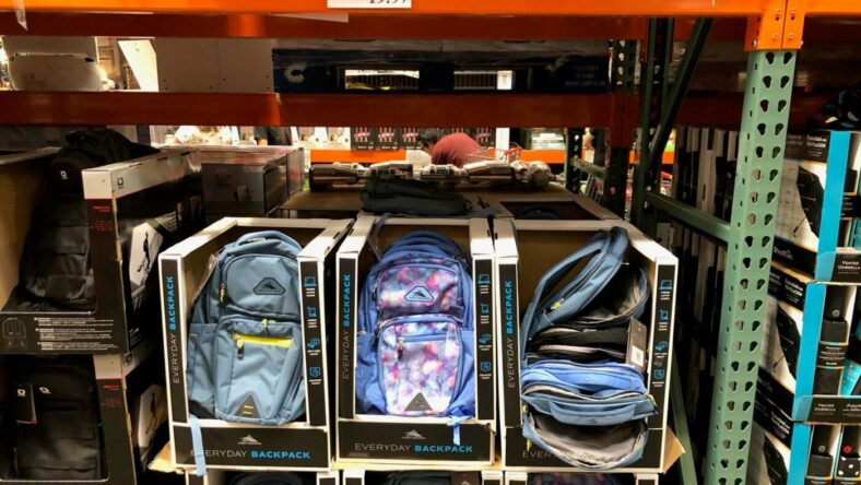 HighSierraEverydayBackpack-1283047