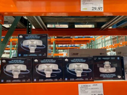 HomeZoneLEDSecurityLight-1193826