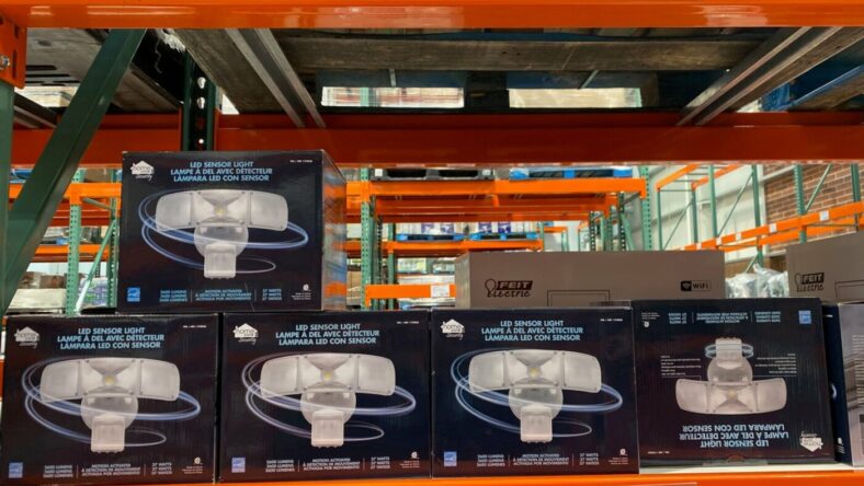 HomeZoneLEDSecurityLight-1193826