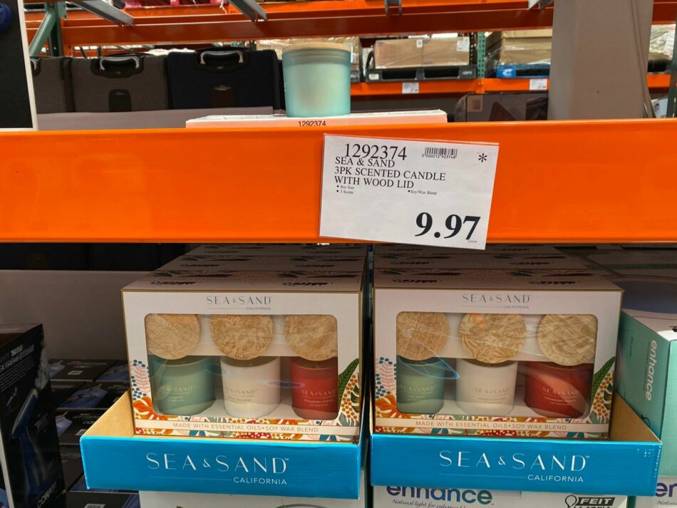 Sea & Sand 3 Pack Scented Candle with Wood Lid