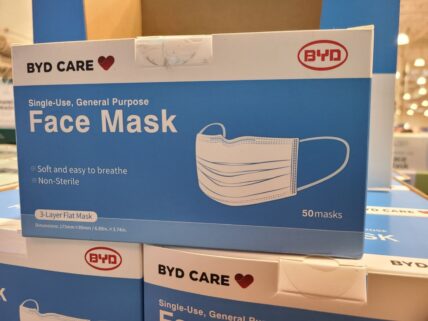 CostcoFaceMasks - 6157967