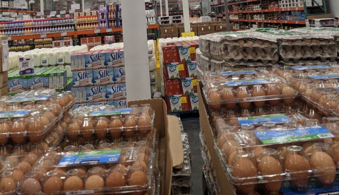 KirklandSignatureBrownEggs24Count-427381