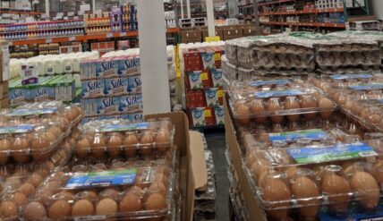 KirklandSignatureBrownEggs24Count-427381