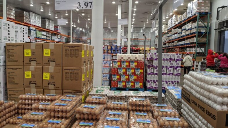 KirklandSignatureBrownEggs24Count-427381