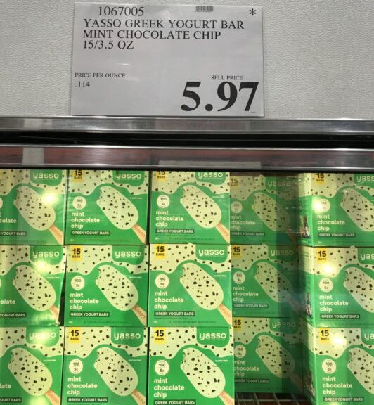 Yasso Greek Yogurt Bar Mint Chocolate Chip