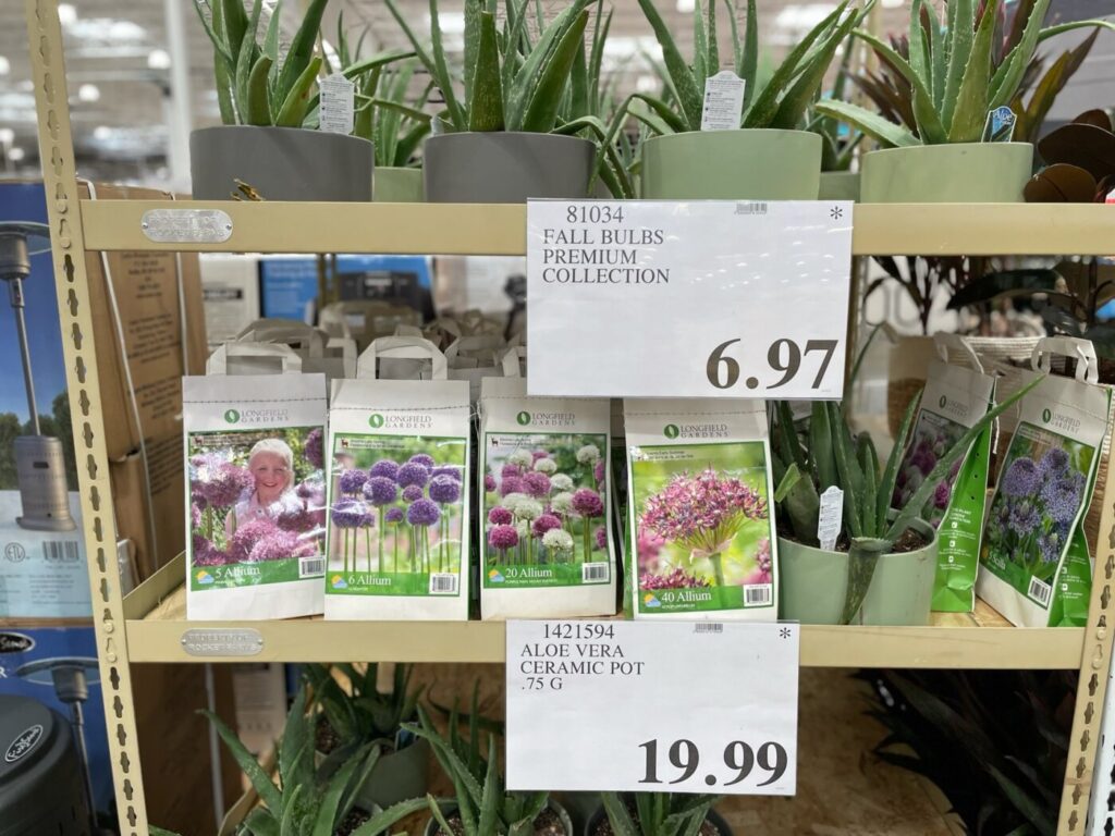 Fall Bulbs Premium Collection