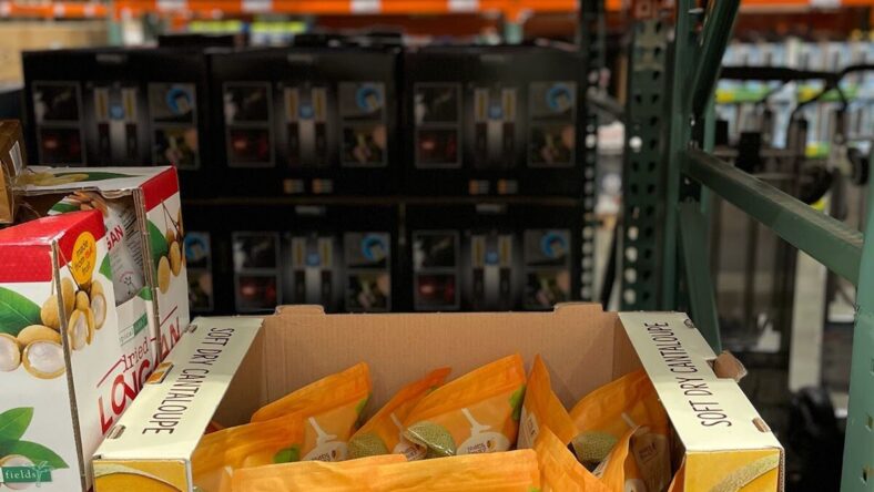 Nutty-Fruity-Dried-Cantaloupe-1556270