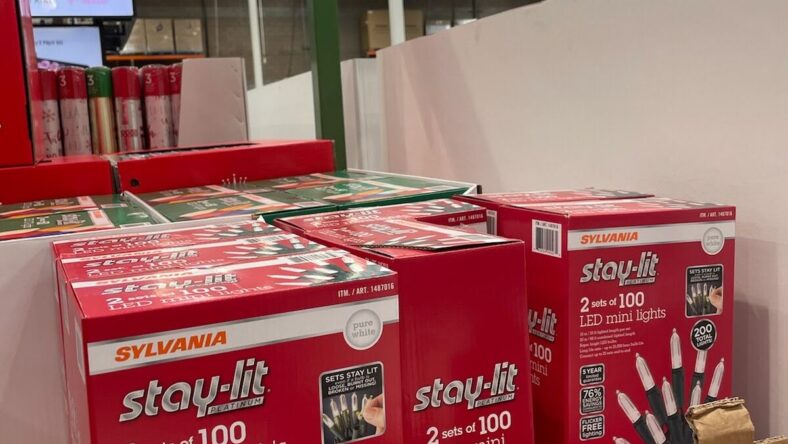 Sylvania-Mini-LED-White-Light-Strings-200ct-1487016