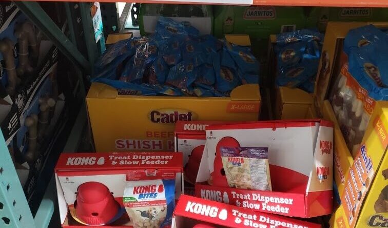 Kong-Wobbler-Treats-1514880
