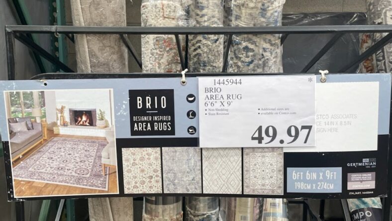 Brio-Area-Rug-1445944