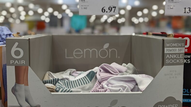 Lemon-Ladies-Quarter-Sock-6pr-1541514