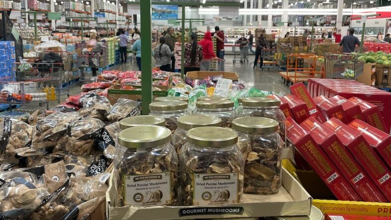 The-Wild-Mushroom-Co-Dried-Porcini-Mushrooms-1424474