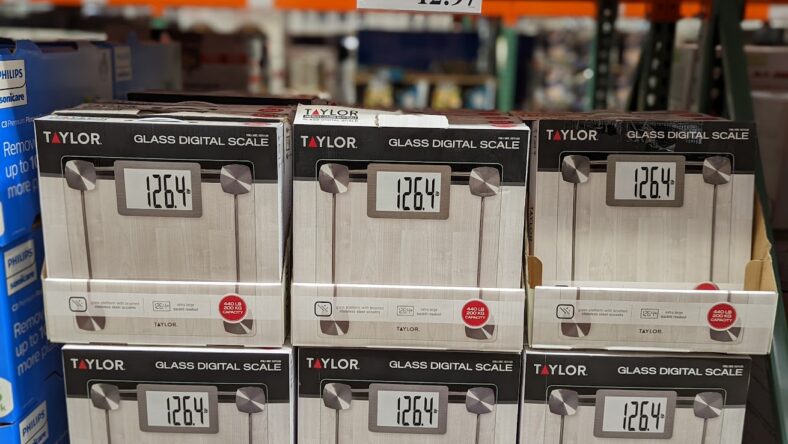 Taylor-Glass-Digital-Scale-Extra-Large-Readout-1571128