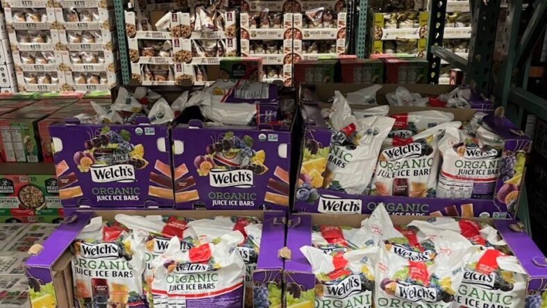 Welchs-Organic-Juice-Ice-Bars-1617673