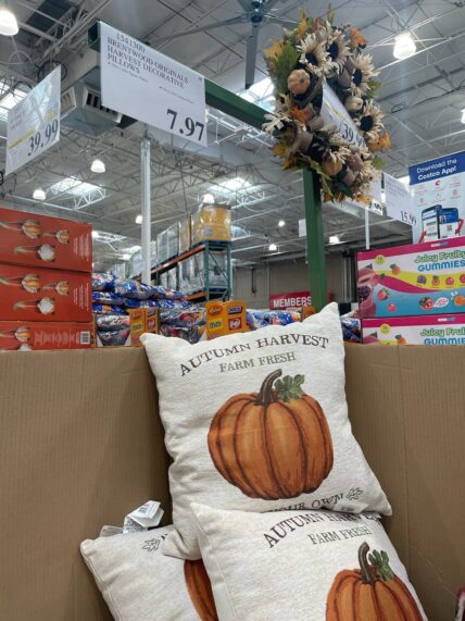 Brentwood-Originals-Harvest-Decorative-Pillows-1541300