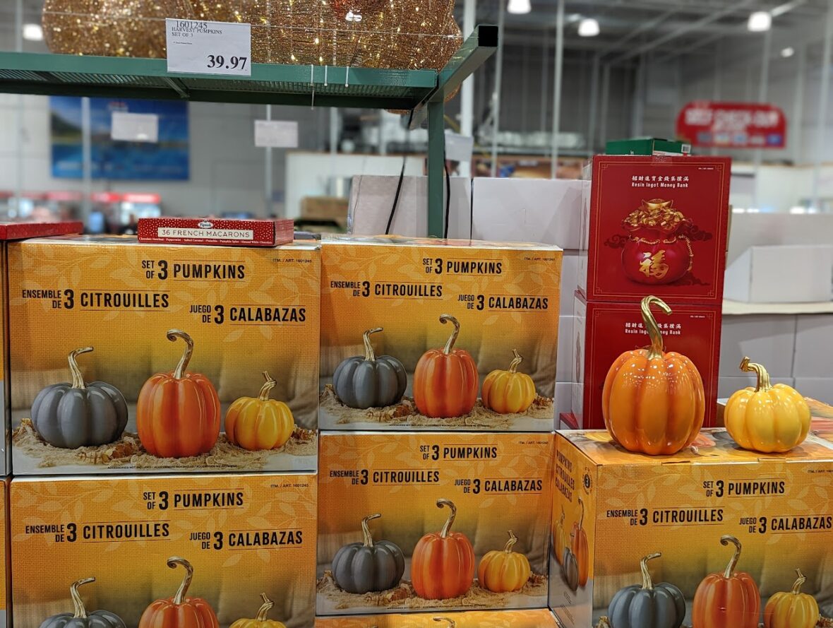 Harvest-Pumpkins-1601245