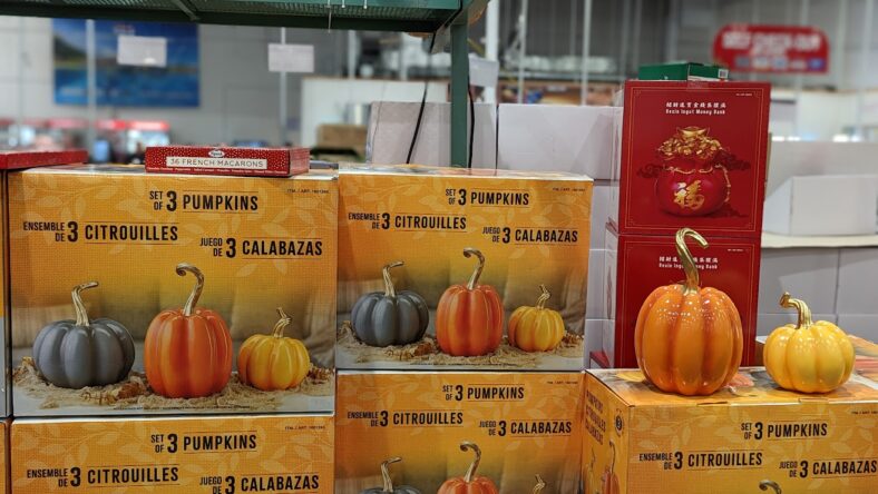 Harvest-Pumpkins-1601245