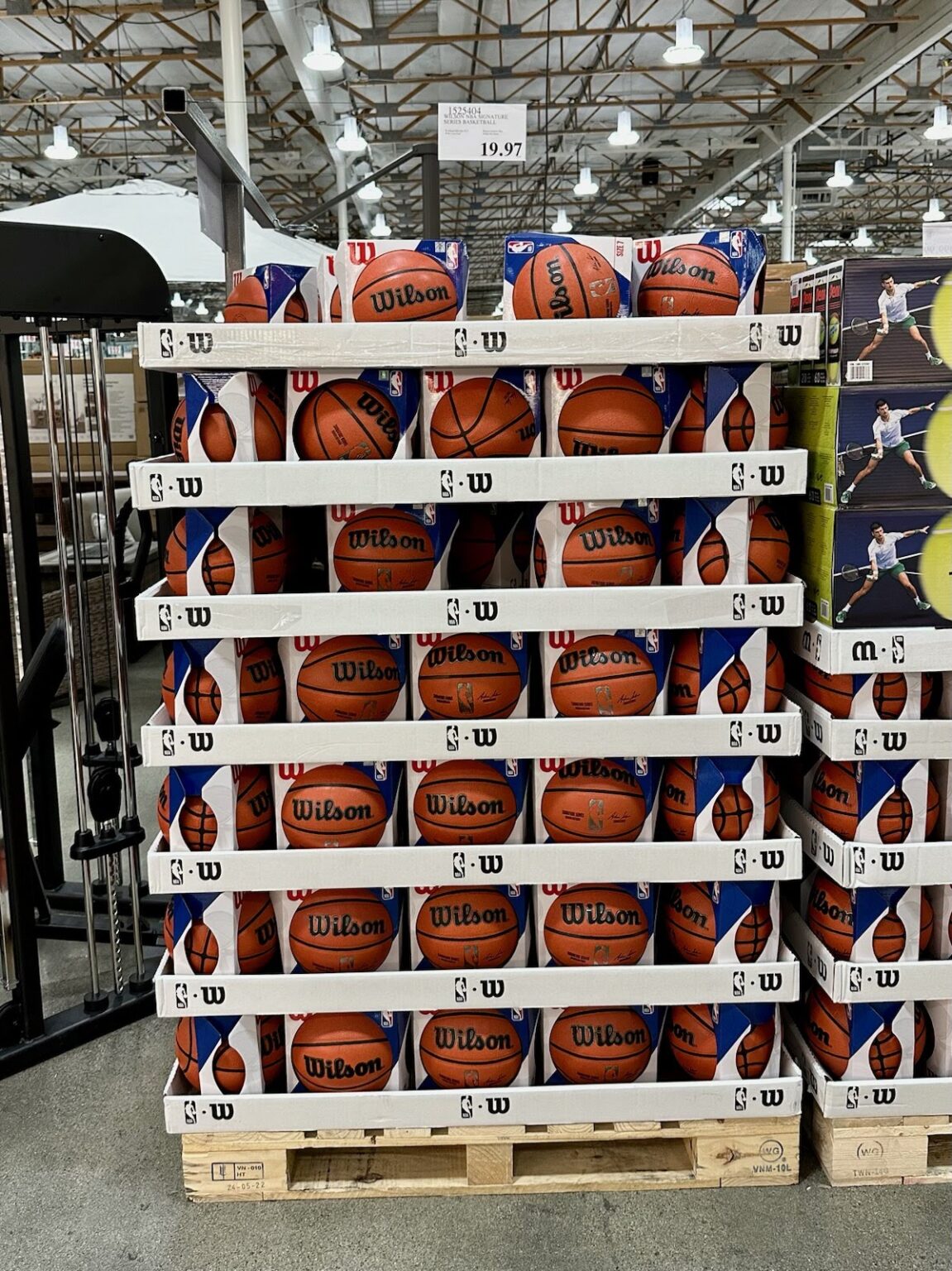 Wilson NBA Signature Series Basketball