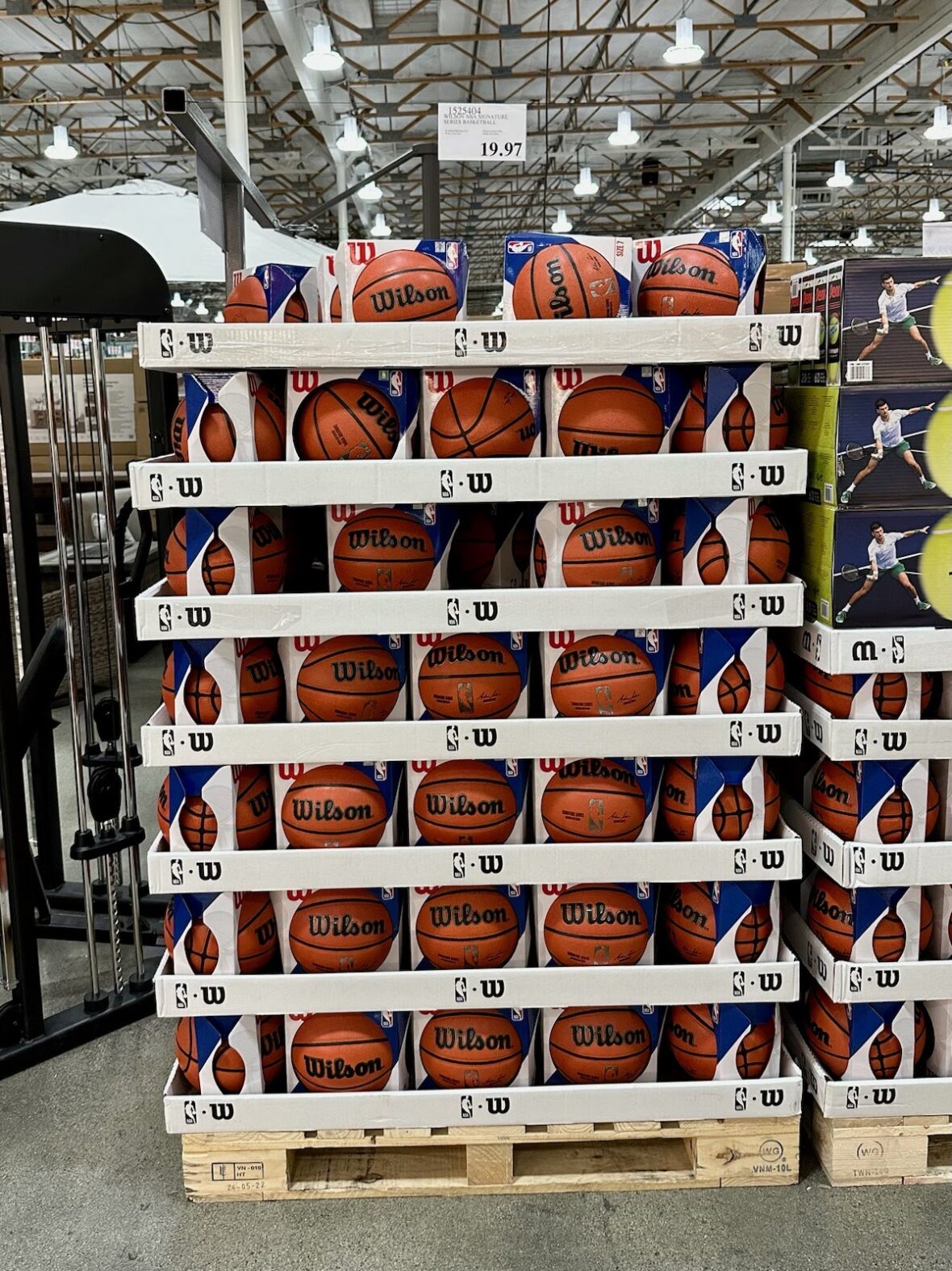 Wilson-Basketball-1525404
