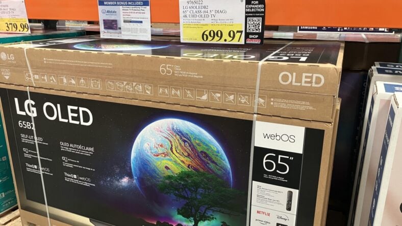 LG-65-in-OLED-TV-9765022