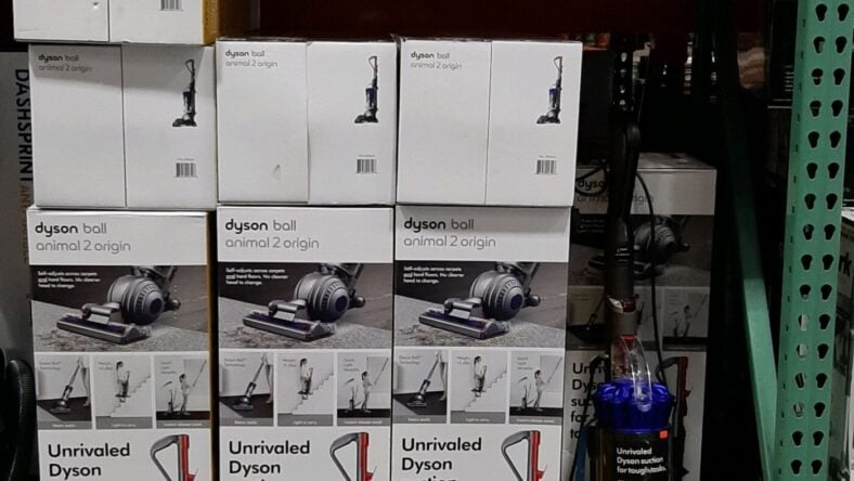 Dyson-Ball-Animal-2-Origin-Vacuum-4990603