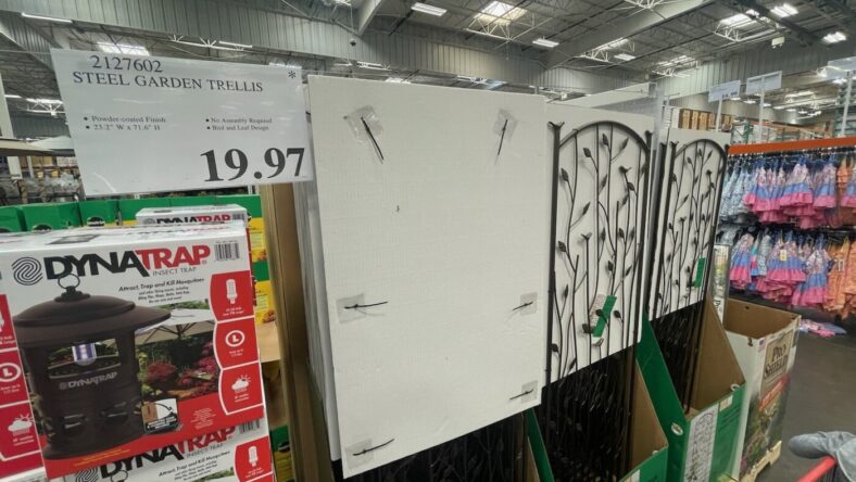 Steel-Garden-Trellis-2127602