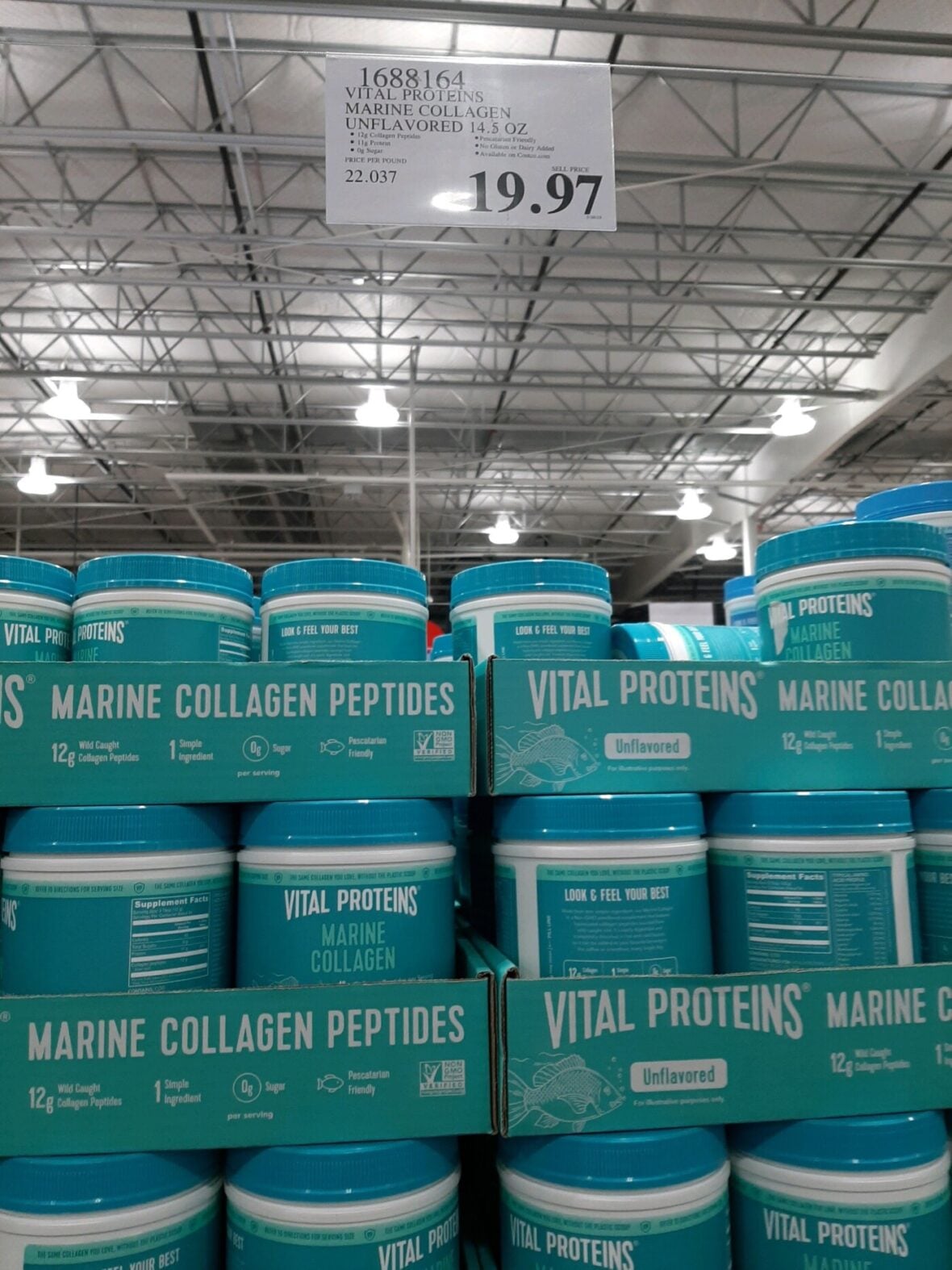 Vital-Proteins-Marine-Collagen-Unflavored-1688164