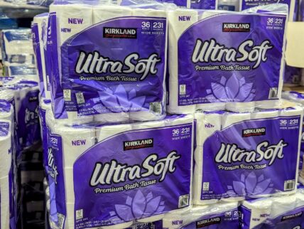 Kirkland Signature Premium Bath Tissue - 1725952