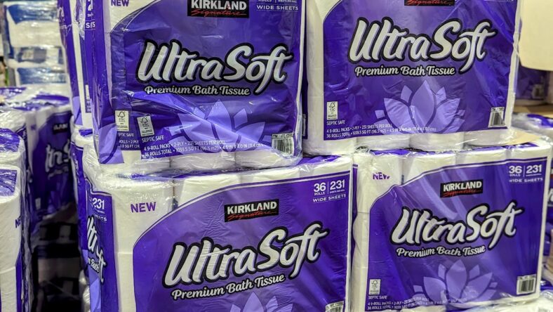 Kirkland Signature Premium Bath Tissue - 1725952