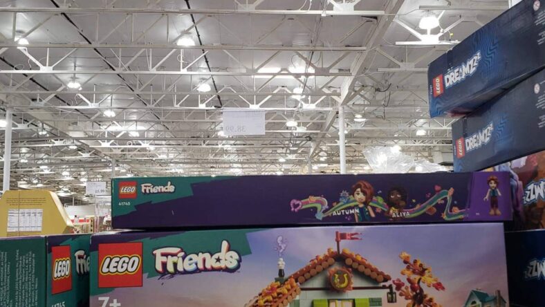 Lego-Minecraft-Dreamzzz-Stable-1021972