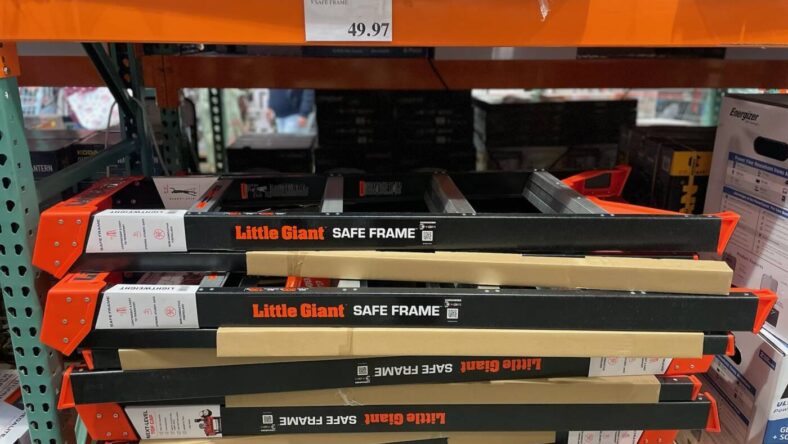 Little-Giant-Lader-5-foot-Safe-Frame-1718528