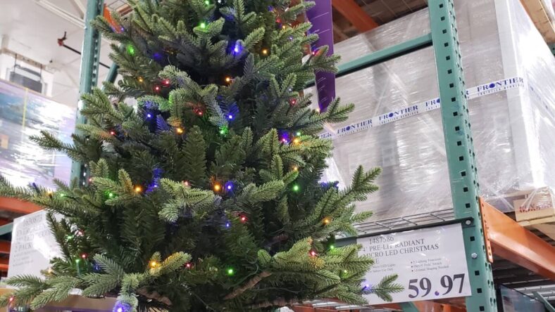 Pre-Lit-Radiant-Micro-LED-Christmas-Tree-4-ft-1487586