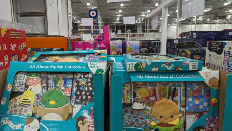 Squishmallows-All-About-Squish-Activity-Set-1662183