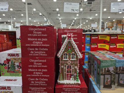 25-in-Gingerbread-House-1601266